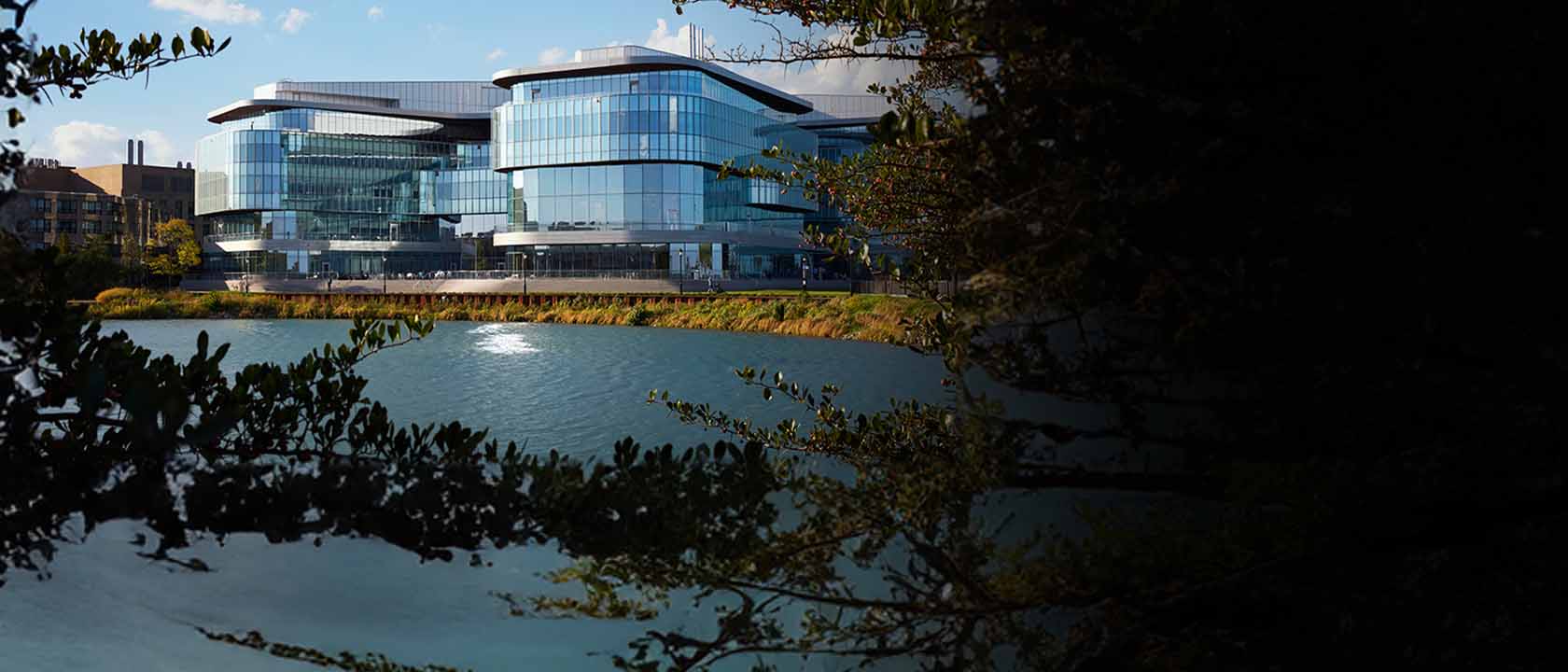 AI and Machine Learning Course by Kellogg Executive Education - November 13, 2025