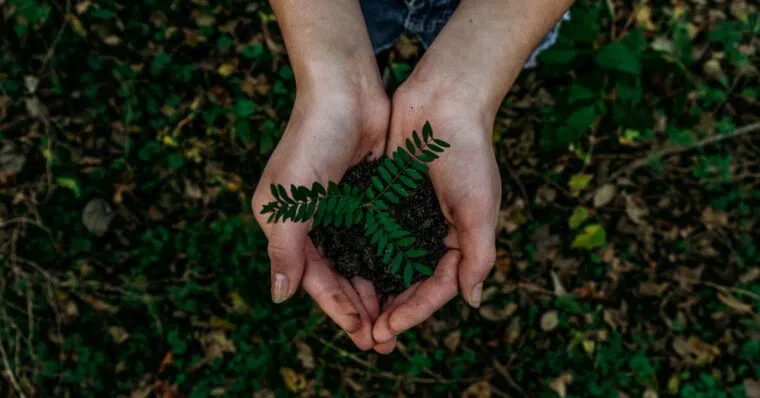 What is a Circular Economy? Is it as Important as Reports Suggest? | Online Sustainability Course