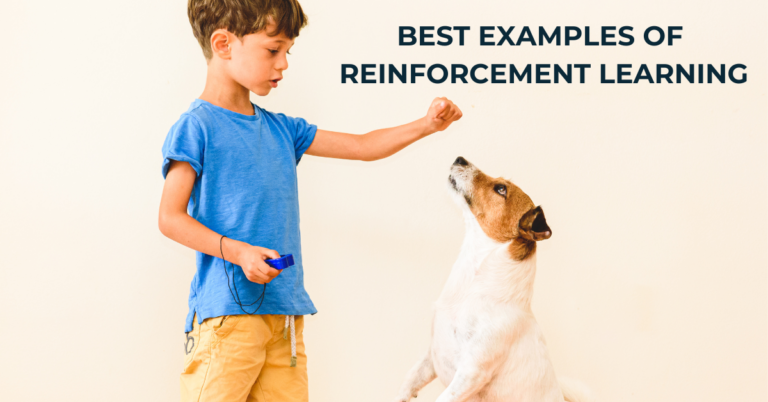 Reinforcement Learning in Practice: 10 Inspiring Examples to Learn From | Online AI and ML Course